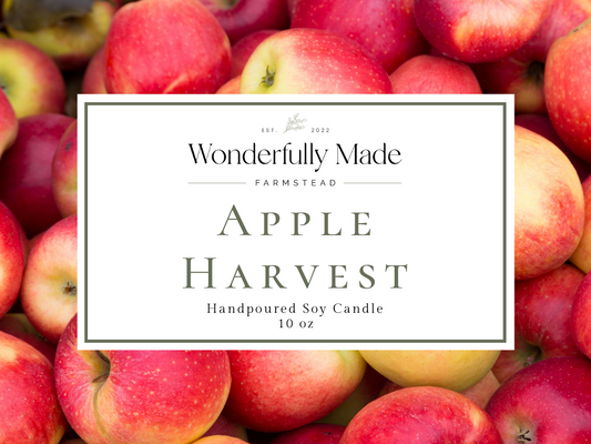 Apple Harvest - 10oz Soy Candle