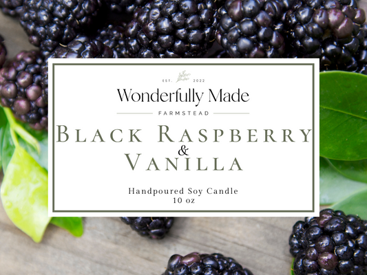 Black Raspberry & Vanilla - 10oz Soy Candle